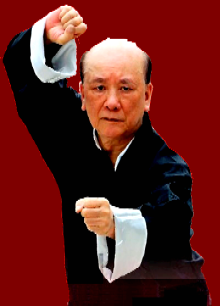 Gran Maestro Chan Kowk Wai